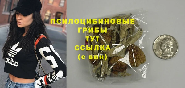 а пвп мука Алзамай