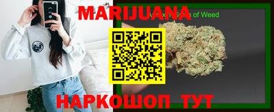 тгк Новозыбков