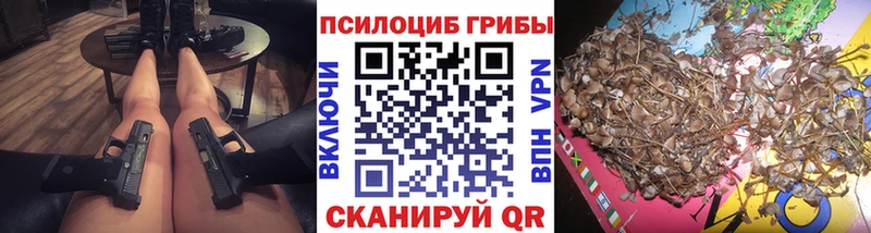 где можно купить   Черкесск  Галлюциногенные грибы MAGIC MUSHROOMS 