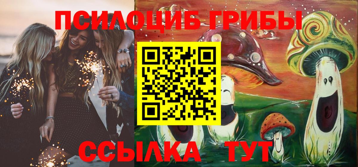 Галлюциногенные грибы мицелий  Вход с VPN  Черкесск 